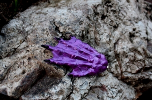 Swampyhand Hair Clip - Octopus Purple 