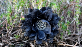 Flower Hair Clip - Black Lace