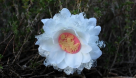 Flower Hair Clip - Fairy - White Lace