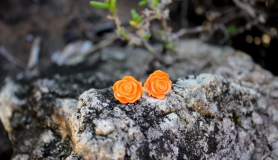 Rose Stud Earrings - Orange