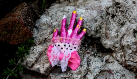 Zombihand Hair Clip - Putrid Pink